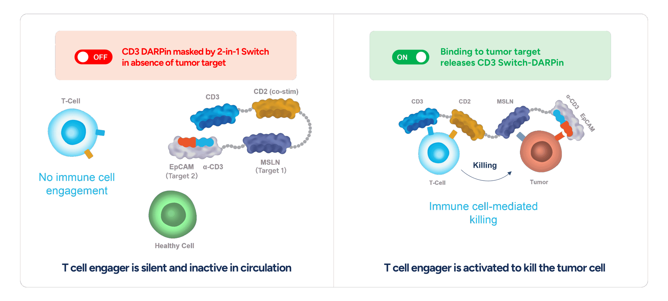 Logic-gated “on-off” Switch-DARPins for conditional immune cell activation