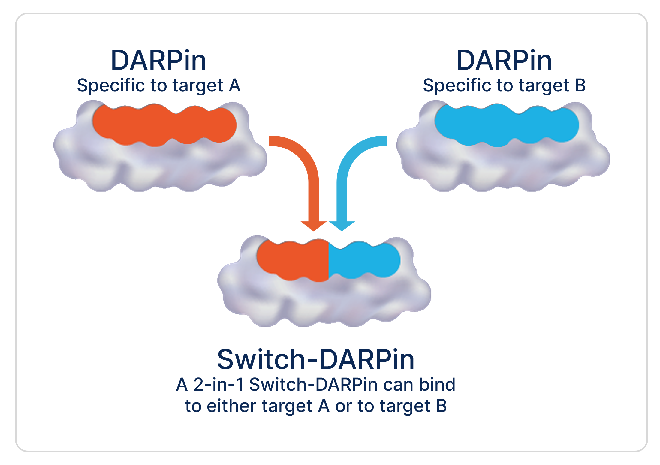  Switch-DARPins as a novel “logic-gated” approach for multi-specific DARPin therapeutics